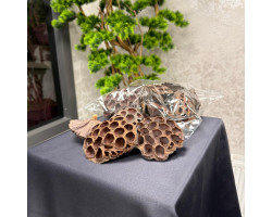 Nilüfer Lotus Paket