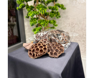 Nilüfer Lotus Paket