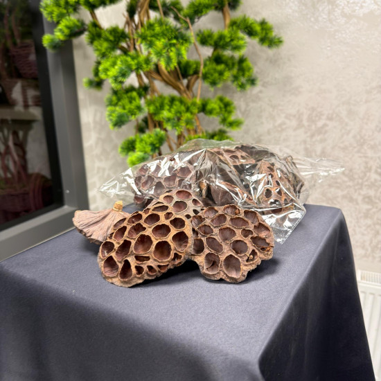 Nilüfer Lotus Paket