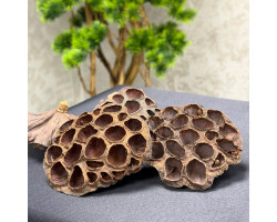 Nilüfer Lotus Paket