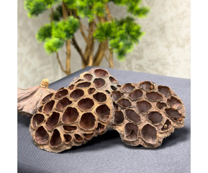 Nilüfer Lotus Paket