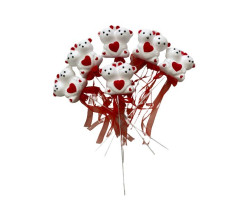 Çubuk Ayı Çiftli Paket