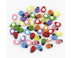 Uğur Böceği Karışık Uğur Böceği Karışık