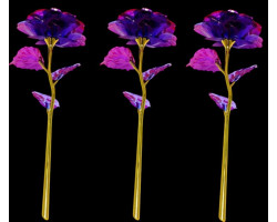 Sonsuzluk Gülü 10 Lu Paket