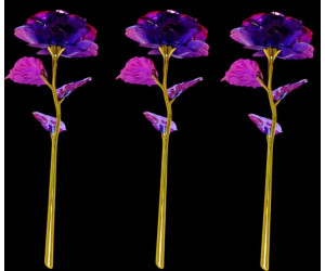 Sonsuzluk Gülü 10 Lu Paket Sonsuzluk Gülü 10 Lu Paket