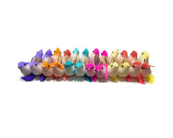 Kuş Renkli 24 Lü Kuş Renkli 24 Lü