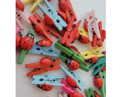 Mandallı Uğur Böceği Mandallı Uğur Böceği