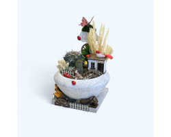 Dekoratif Canlı Kaktüs Arajmanı 