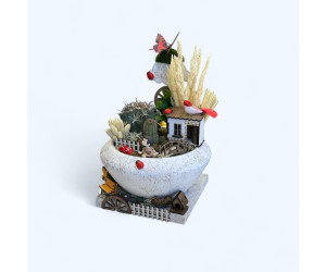 Dekoratif Canlı Kaktüs Arajmanı 