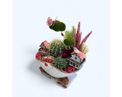 Dekoratif Canlı Kaktüs Arajmanı 