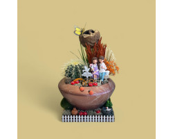 Dekoratif Canlı Kaktüs Arajmanı 