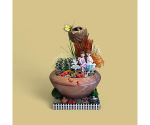 Dekoratif Canlı Kaktüs Arajmanı 