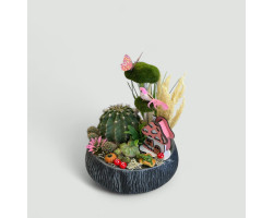 Dekoratif Canlı Kaktüs Arajmanı 