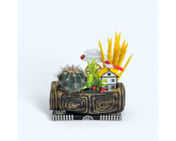 Dekoratif Canlı Kaktüs Arajmanı 