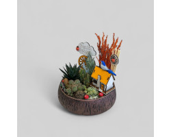 Dekoratif Canlı Kaktüs Arajmanı Dekoratif Canlı Kaktüs Arajmanı