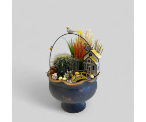 Dekoratif Canlı Kaktüs Arajmanı 