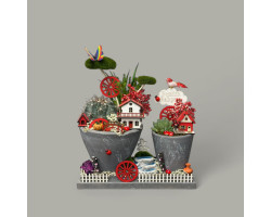 Dekoratif Canlı Kaktüs Arajmanı 