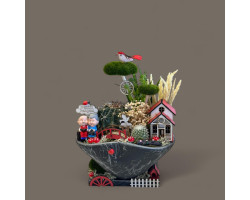 Dekoratif Canlı Kaktüs Arajmanı Dekoratif Canlı Kaktüs Arajmanı