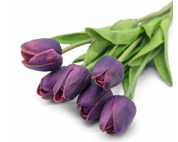 Islak Lale 8 Li Mor Islak Lale 8 Li Mor