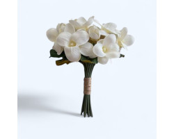 Islak Manolya Demet Islak Manolya Demet