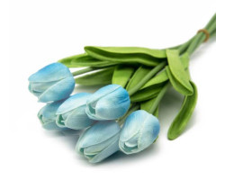 Islak Lale 8 Li Açık Mavi Islak Lale 8 Li Açık Mavi