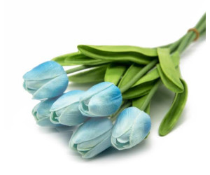 Islak Lale 8 Li Açık Mavi