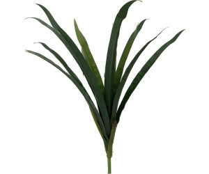 İnce Orkide Yaprağı