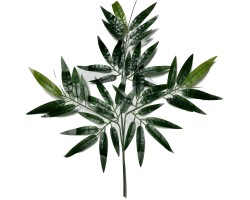 Bambu Yaprağı 12 Li