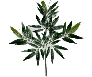 Bambu Yaprağı 12 Li