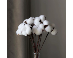 Pamuk Otu 10'Lu Demet