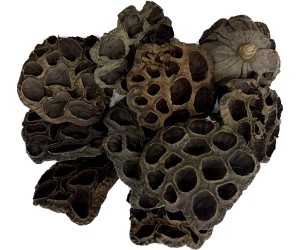 Lotus Paket 