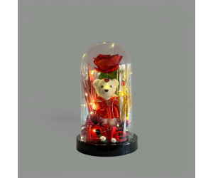 Dekoratif Mikada Strafor Ayıcık