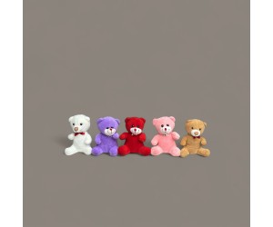 Ayıcık Mini Kaliteli 25 Cm