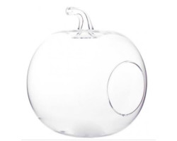 Cam Elma Büyük Cam Elma Büyük