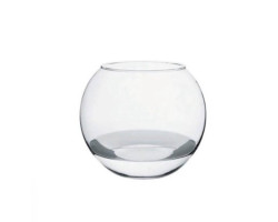 Cam Faunus Cam Faunus