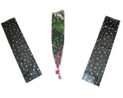 Tek Gül Jelatin Tek Gül Jelatin