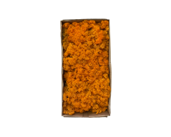 İthal İzlanda Yosunu