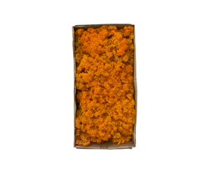 İthal İzlanda Yosunu