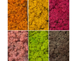 İthal İzlanda Yosunu