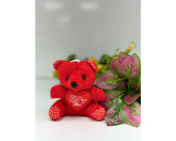 Peluş Ayıcık Anahtarlık 12 lİ Paket Peluş Ayıcık Anahtarlık 12 lİ Paket