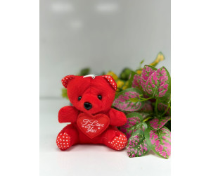 Peluş Ayıcık Anahtarlık 12 lİ Paket