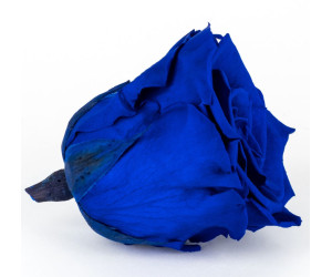 Solmayan Gül 6 Lı Paket Solmayan Gül 6 Lı Paket