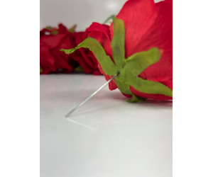 Kadife Kafa Gül Adet