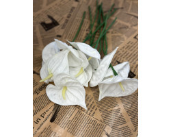 Islak Antaryum 10 Adet Islak Antaryum 10 Adet