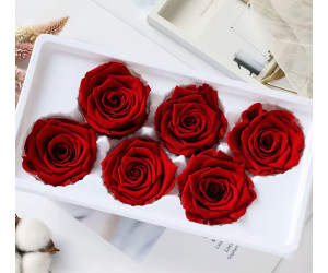 Solmayan Gül 6 Lı Paket Solmayan Gül 6 Lı Paket